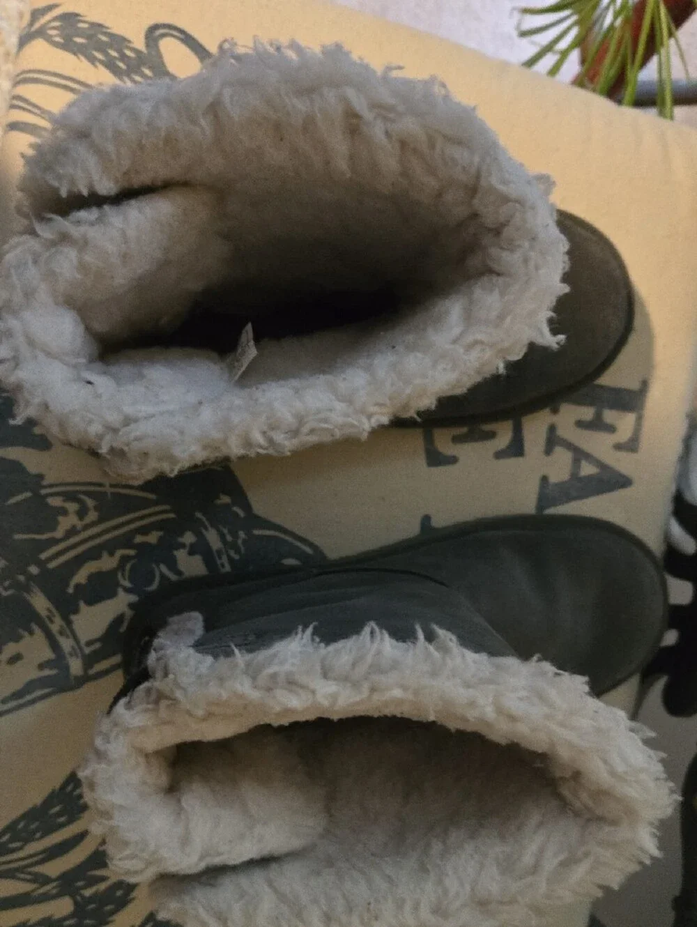 Koolaburra plush cream